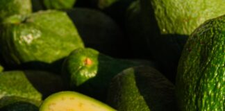 a pile of green avocados sitting on top of each other