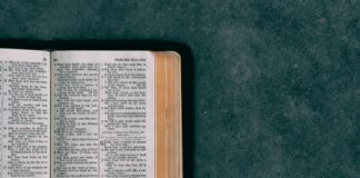 open pocket bible on green surface
