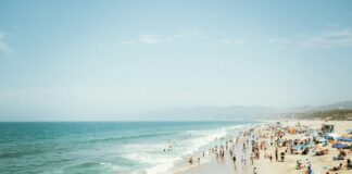 group of people near beach