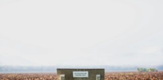 a bench sitting on top of a lush green field