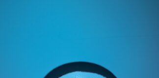 black and white dog print round decorative plate