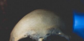 white skull with black background