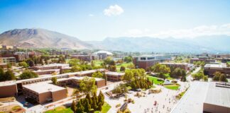 aerial photography green and white concrete building