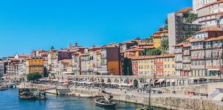 boats docked near seaside promenade]