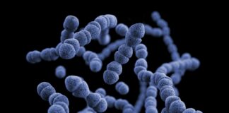 white and blue round decor