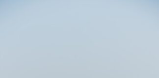 people walking on red and brown temple during daytime