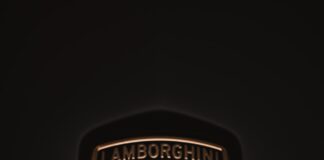 a lamb logo on a black background