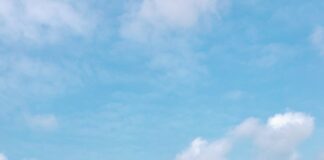 city skyline under blue sky during daytime