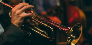 person playing trumpet during night time