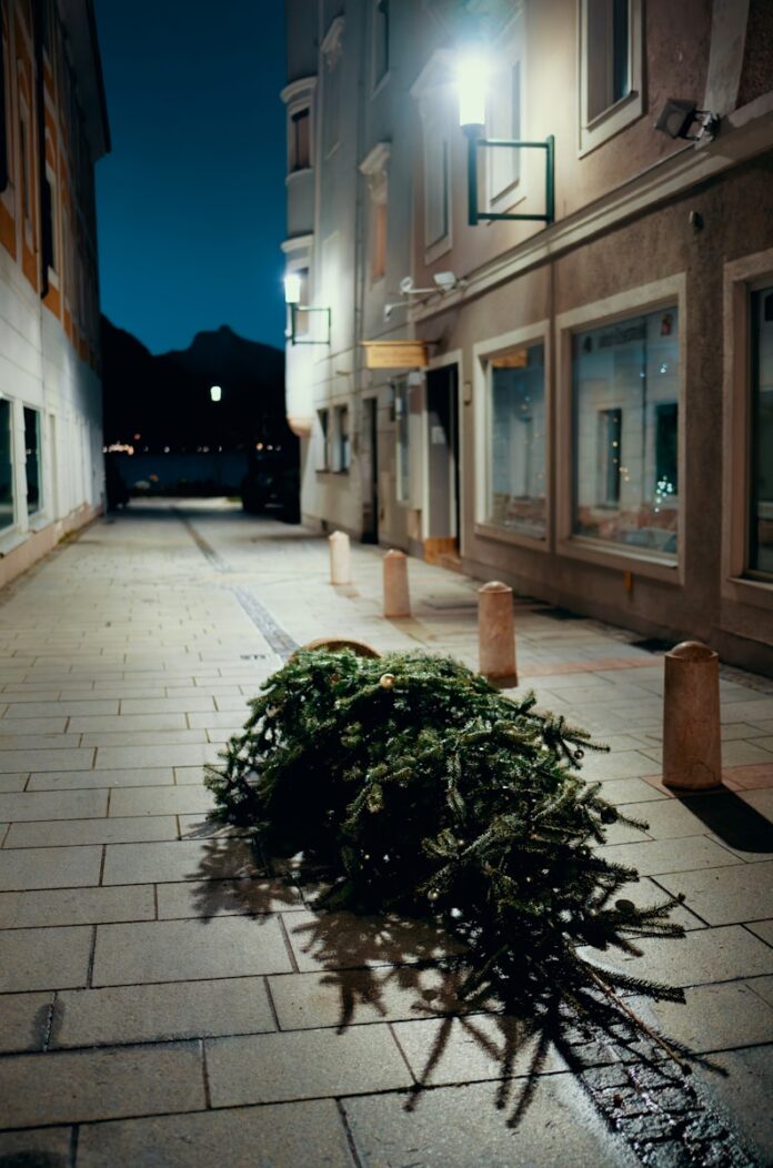 A pile of christmas tree sitting on the side of a street
