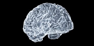 a close up of a human brain on a black background