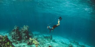 man in blue shorts diving on water