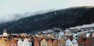 houses near body of water and mountain during daytime