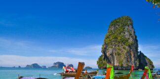 five brown wooden boats