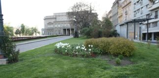 a flower bed in the middle of a grassy area