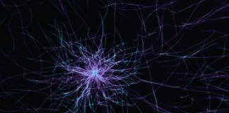 a purple and blue abstract pattern on a black background