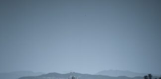 a view of a city with a statue in the foreground