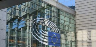 glass walled building during daytime