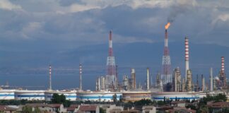 green trees near city buildings during daytime