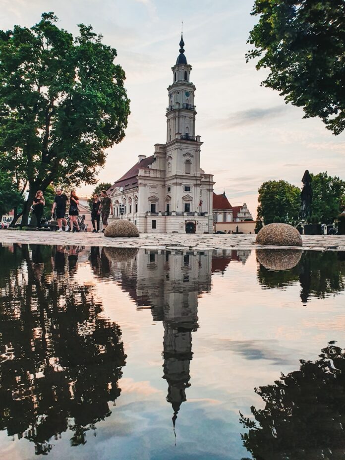 people walking on park near body of water during daytime