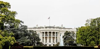 architectural photography of white house