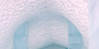 white and gray concrete building