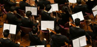 group of person playing violin