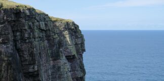 a bird flying over the edge of a cliff by the ocean