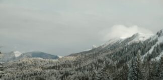 snow covered mountain during daytime