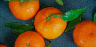 orange fruits on gray textile