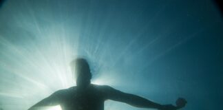 silhouette of man swimming at water during daytime