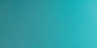 person holding fan of 100 us dollar bill