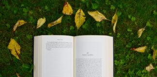 opened book on grass during daytime