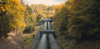 metal pipe between trees at daytime