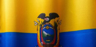 the flag of the state of venezuela