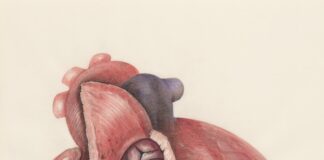 a drawing of a heart with a cat inside of it