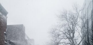 man in gray jacket and black pants walking on snow covered road during daytime