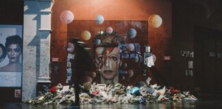 painting of brown-haired woman low-light photography