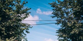 Two women washing a house exterior on a ladder.
