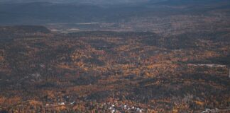 Aerial view of a coastal town in autumn