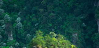 aerial photography of brown rock formation with plants