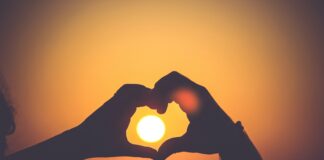 silhouette of person's hands forming heart