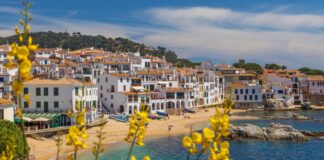 yellow and white houses near body of water during daytime