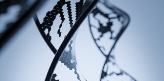 a close up of a metal structure with a pattern on it