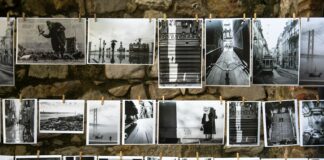 hanging grayscale photos