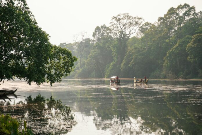 Boats on a misty river surrounded by lush forest