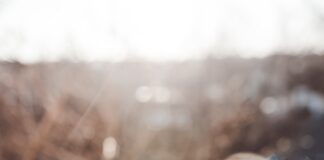 person holding white ceramic cup with hot coffee