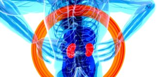 a blue and red jellyfish