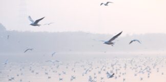 a group of people in a boat on the water