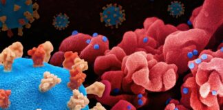 a close up of a blue and red corona corona